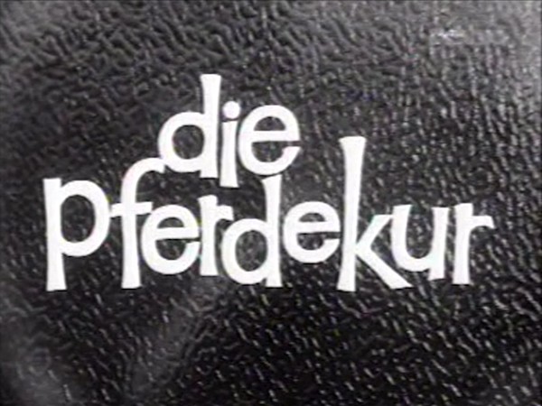 DIE PFERDEKUR 1968