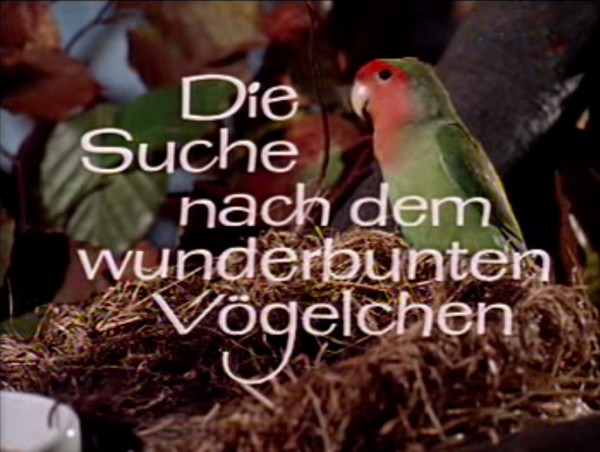 DIE SUCHE NACH DEM WUNDERBUNTEN VOEGELCHEN 1963