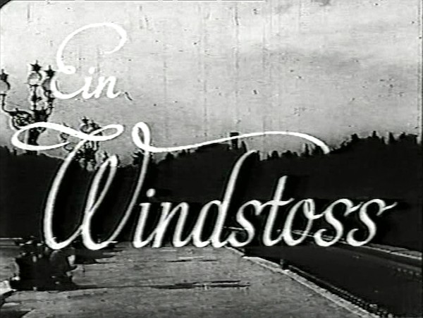 EIN WINDSTOSS 1942
