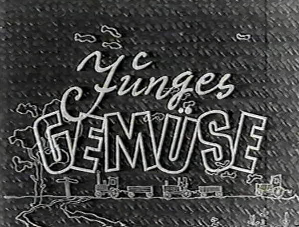 JUNGES GEMUSE 1956