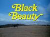 BLACK BEAUTY 1970