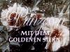 DIE PINZESSIN MIT DEM GOLDENEN STERN