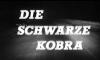 DIE SCHWARZE KOBRA 1963