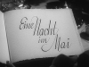 EINE NACHT IM MAI 1938