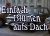 EINFACHE BLUMEN AUFS DACH 1979