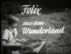 FELIX AUS DEM WUNDERLAND