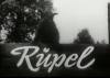 RUEPEL 1963