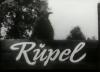 RÜPPEL 1963