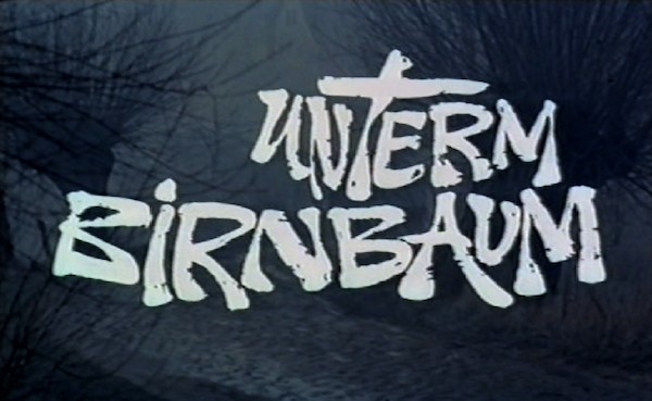 UNTERM BIRNBAUM 1973