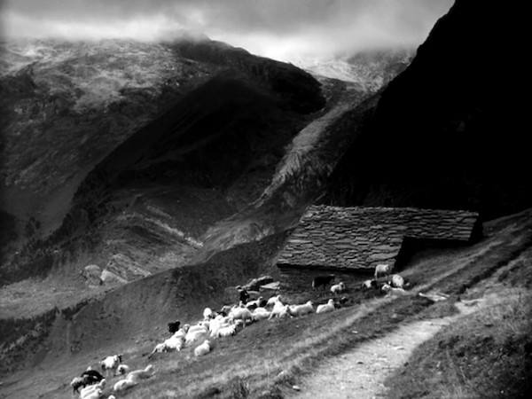 DAS GEHEIMNIS DER ROTEN KATZE 1949